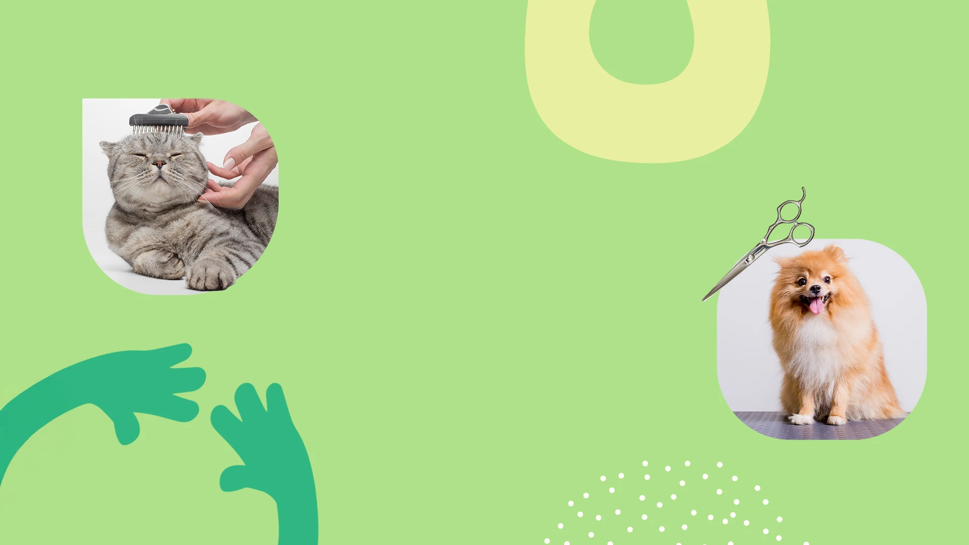 CANE — Professional grooming equipment and cosmetics for pets